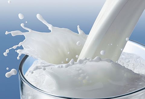 பாலில் கலப்படம் செய்பவர்களை சிறைக்கு அனுப்புவோம் அமைச்சர் கந்தசாமி உறுதி