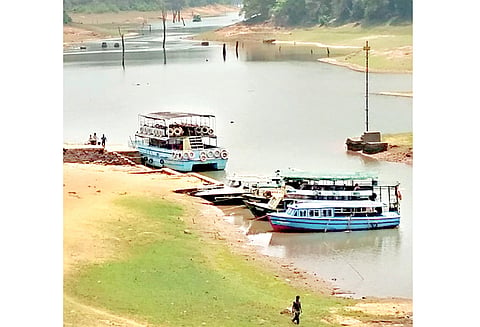 தேக்கடி ஏரியில் நீர்மட்டம் குறைந்தது: படகு சவாரி நிறுத்தம் சுற்றுலா பயணிகள் ஏமாற்றம்