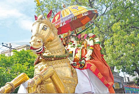 மொட்டையரசு உற்சவம் தங்கக்குதிரை வாகனத்தில் தெய்வானையுடன் முருகப்பெருமான் வலம் வந்தார்