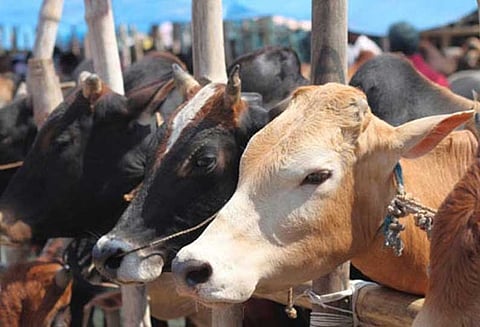 ராஜஸ்தானில் தமிழக அதிகாரிகள் மீது தாக்குதல்