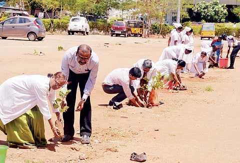 அரசு மருத்துவமனை வளாகத்தில் வெட்டப்பட்ட மரங்களுக்கு பதிலாக மரக்கன்றுகள் நடப்பட்டன