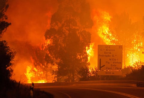 போர்ச்சுக்கலில் பயங்கர காட்டுத்தீ: 43 பேர் பலி, 16 பேர் காயம்