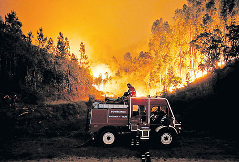 போர்ச்சுக்கல் நாட்டில் காட்டுத்தீ பரவுகிறது தப்பிக்க முயன்ற 57 பேர் கருகிச்சாவு