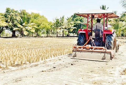 ஆழ்குழாய் கிணறு மூலம் தஞ்சை மாவட்டத்தில் 28,175 ஏக்கரில் குறுவை நெல் சாகுபடி