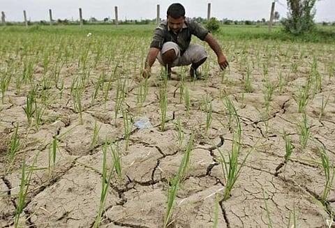 கர்நாடகாவில் கூட்டுறவு வங்கிகளில் விவசாயிகள் பெற்ற கடன் தள்ளுபடி