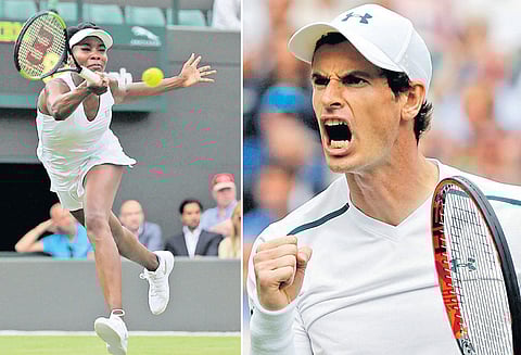 விம்பிள்டன் டென்னிஸ் ஆன்டி முர்ரே, வீனஸ் வில்லியம்ஸ் முதல் சுற்றில் வெற்றி