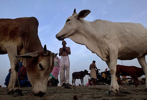 மாட்டிறைச்சி எடுத்துச்செல்வதாக கூறி மராட்டியத்தில் ஒருவர் மீது பசுபாதுகாவலர்கள் தாக்குதல்