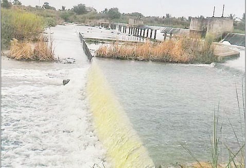 பட்டுக்கோட்டை பகுதியில் பரவலாக மழை மகாராஜசமுத்திரம் அணை நீர் கடலில் கலந்து வீணாகும் அவலம்