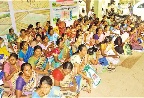 கலெக்டர் அலுவலகத்தில் 3-வது நாளாக அங்கன்வாடி பணியாளர் பணிக்கு நேர்முக தேர்வு