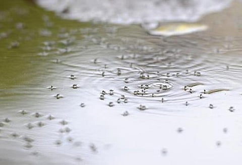 சுகாதார சீர்கேட்டை ஏற்படுத்தியதாக 35 பேருக்கு ரூ.2 லட்சத்து 21 ஆயிரம் அபராதம்