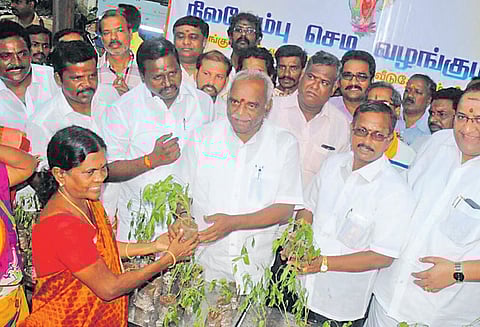 திருநீர்மலையில் பொது மக்களுக்கு நிலவேம்பு செடிகள் பொன்.ராதாகிருஷ்ணன் வழங்கினார்