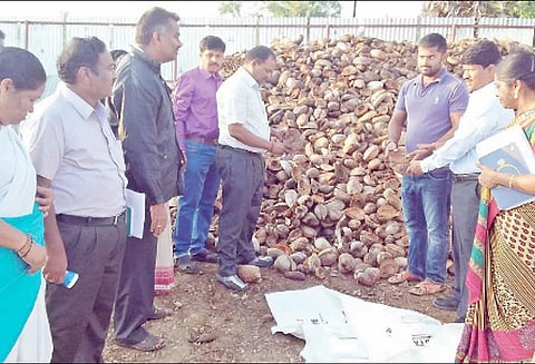 டெங்கு கொசு ஒழிப்பு பணியை கலெக்டர் நேரில் ஆய்வு