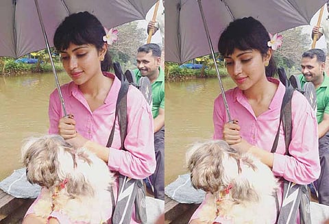 பென்ஸ் கார் சர்ச்சைகளுக்கு நடிகை அமலாபால் மறைமுகமாகப் பதிலடி