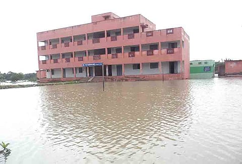 புதிய காற்றழுத்தத் தாழ்வுநிலை: தமிழகத்தில் இன்றும் மழை! தீவு போல காட்சியளிக்கும் நாகை கிராமங்கள்