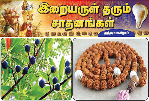 அற்புதங்களை அருளும் ருத்ராட்ச மணிகள்
