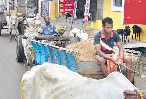 அனுமதியின்றி ஆற்றில் மணல் ஏற்றி வந்த 5 மாட்டு வண்டிகள் பறிமுதல்