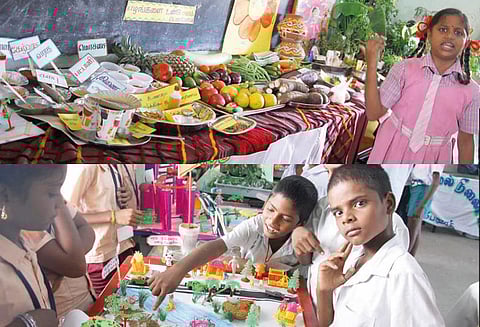 பெரம்பலூர் மாவட்டத்தில் அறிவியல் கண்காட்சி