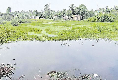 வீடுகள் கட்டியதால் 10 ஏக்கராக குறுகி விட்டது ஆக்கிரமிப்பாளர்களிடம் இருந்து ஏரியை மீட்க வேண்டும்
