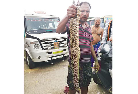 மீனவர்கள் வலையில் சிக்கிய அபூர்வ வகை மீன் கண்காட்சி கூடத்தில் ஒப்படைப்பு