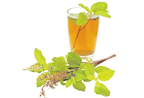 துளசி நீரில் மஞ்சள் கலந்து குடித்தால்...