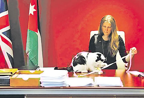 இங்கிலாந்து தூதரகத்தின் ‘தலைமை எலி பிடிப்பாளர்’