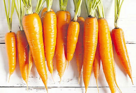 தேவையற்ற கொழுப்பைக் கரைக்கும் கேரட்