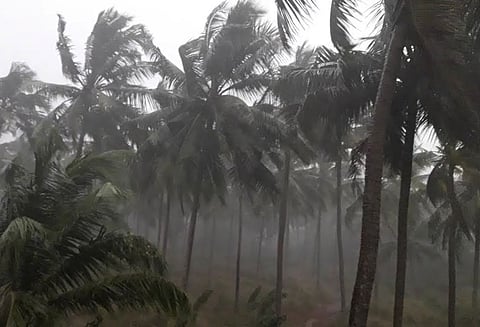 ஒகி புயலால் பாதிக்கப்பட்ட கேரளாவுக்கு ரூ.133 கோடி நிதி ஒதுக்கீடு