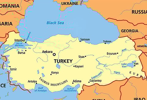 ஐ.எஸ். பயங்கரவாதிகள் 29 பேர் கைது