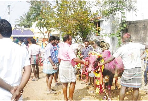 அனுமதியின்றி ஜல்லிக்கட்டு; போலீசார் தடுத்து நிறுத்தினர்