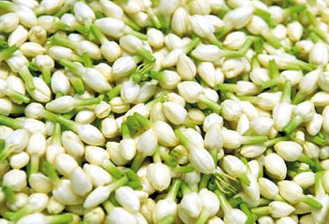 சங்கரன்கோவில் மார்க்கெட்டில் ஒரு கிலோ மல்லிகைப்பூ ரூ.6 ஆயிரத்துக்கு விற்பனை