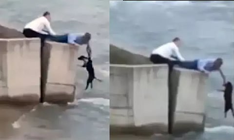 திருமணத்திற்கு செல்லாமல் ஆற்றில் சிக்கிய நாயை மீட்க சென்ற நபர்; பாராட்டுகள் குவிந்தன