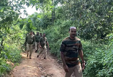 காட்டு யானைகள் நடமாட்டத்தால் பொதுமக்கள் பீதி