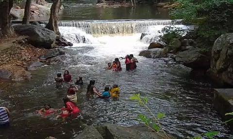 களக்காடு தலையணையில் தண்ணீர் வரத்து அதிகரிப்பு
