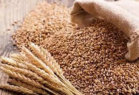 கோதுமை ஏற்றுமதிக்கு தடைவிதித்தது ஆப்கானிஸ்தான்