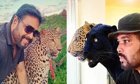 உக்ரைன் போர்: ரூ.80 லட்சம் செலவில் செல்ல பிராணிகள் காப்பகம் அமைத்த இந்தியர்