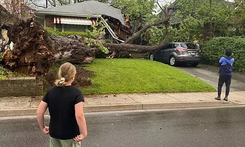 கனடாவில் புயலுக்கு 8 பேர் பலி