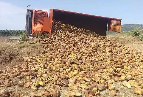 டயர் வெடித்ததில் தென்னை மட்டைகள் ஏற்றி வந்த லாரி கவிழ்ந்து விபத்து...!