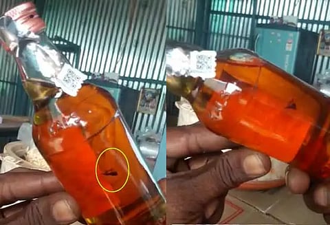 மதுபாட்டிலுக்குள் குட்டித் தவளை - மது பிரியர்கள் அதிர்ச்சி...!