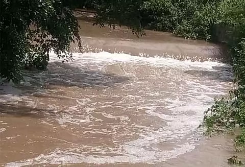 தாளவாடி அருகே பலத்த மழை - பெருக்கெடுத்து ஓடிய காட்டாற்று வெள்ளம்...!