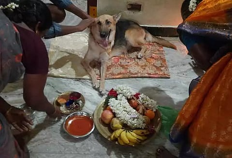 செல்லப்பிராணி நாய்க்கு வளைகாப்பு நடத்திய குடும்பத்தினர்...!