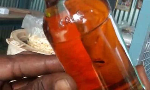 மதுபாட்டிலுக்குள் கிடந்த குட்டி தவளை