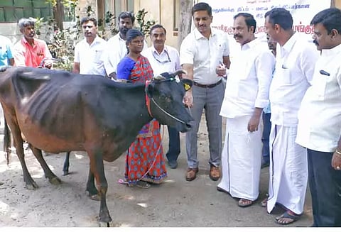 சாராயம் காய்ச்சிய நபர்கள் திருந்தி வாழ கறவை மாடுகள்