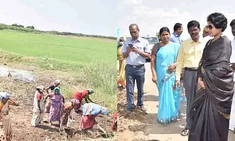 ரூ.2.6 கோடி மதிப்பில் பாசன வாய்க்கால்கள் தூர்வாரும் பணி