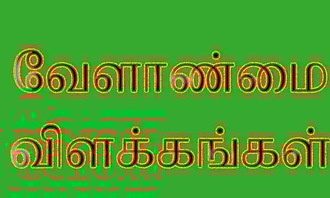 விதைநேர்த்தி செய்து நெல் விதைகளை பயிரிட வேண்டும்
