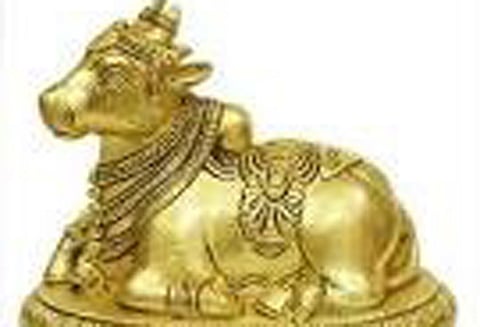 சங்கராபுரம் பகுதியில் பிரதோஷ வழிபாடு