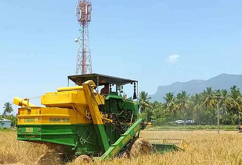 நெல்அறுவடை பணிகள் தொடக்கம்