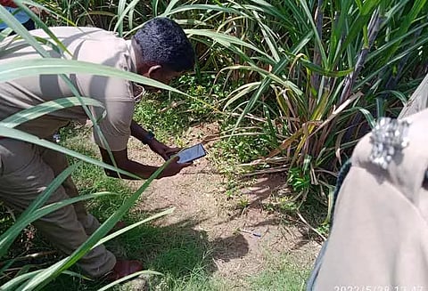 2-வது நாளாக மர்மவிலங்கு கடித்து ஆடுகள் பலி சிறுத்தையும் நடமாடுவதால் கிராமக்கள் அச்சம்