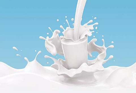 பால் குறித்த சுவாரசிய தகவல்கள்