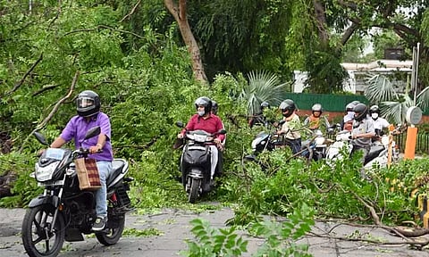 டெல்லியில் சூறைக்காற்றுடன் கனமழை; மரங்கள் வேரோடு சாய்ந்ததால் கடும் போக்குவரத்து நெரிசல்!