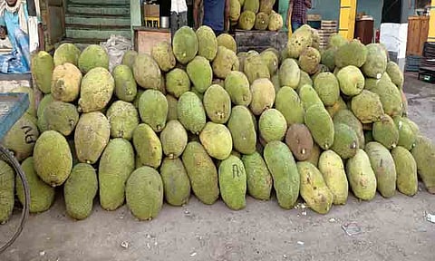 ஸ்ரீவில்லிபுத்தூரில் பலாப்பழம் விற்பனை அமோகம்